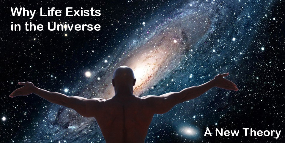 Why life exists in the universe. A new theory.